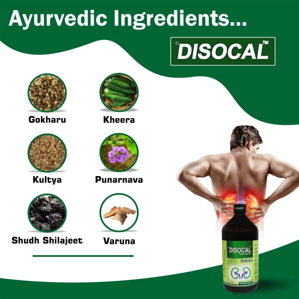 Disocal Flush Liquid 3